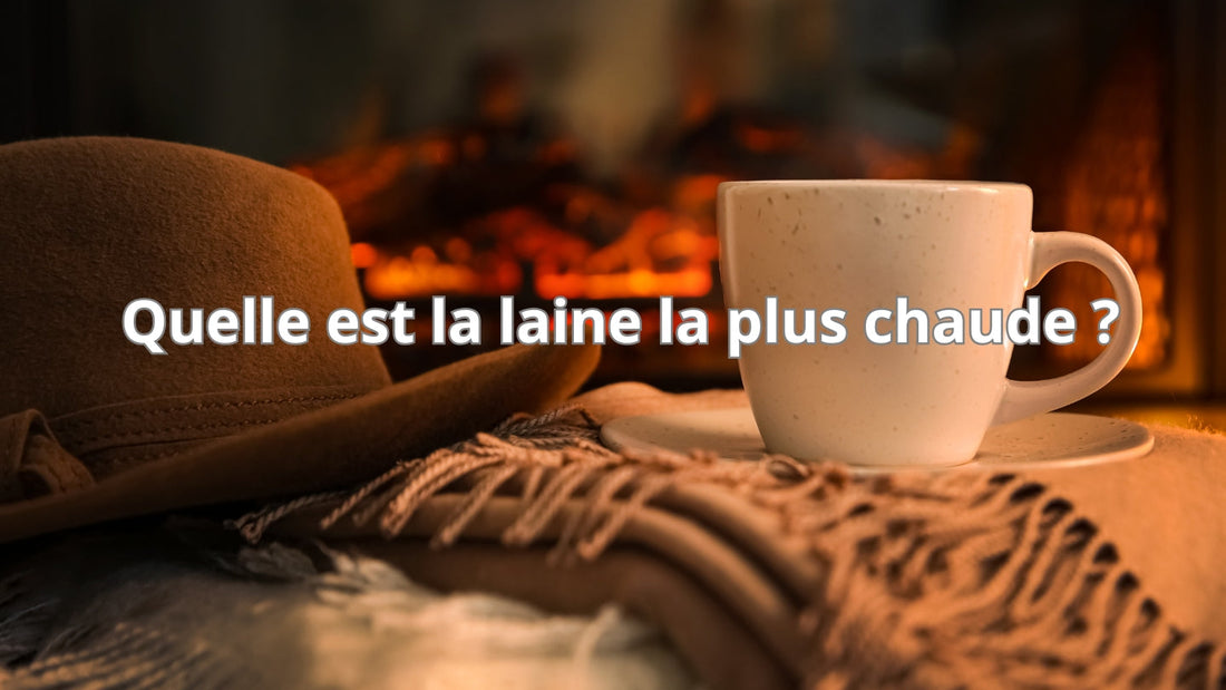 Quelle est la laine la plus chaude ?