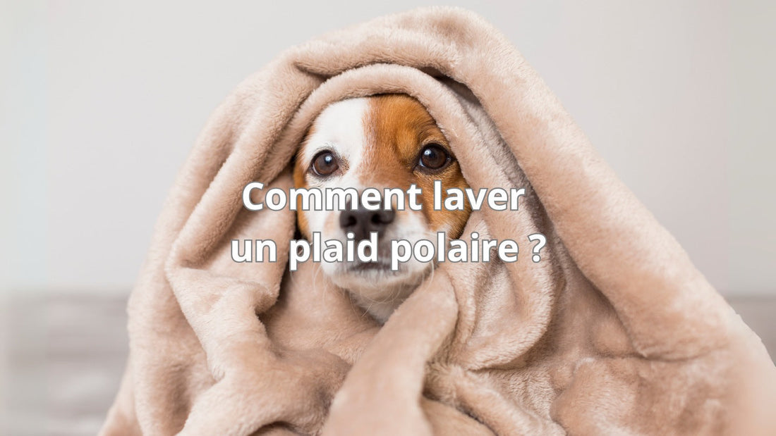 comment laver un plaid polaire